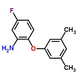 2-(3,5-Dimethylphenoxy)-5-fluoroaniline结构式