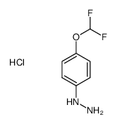 (4-(difluoromethoxy)phenyl)hydrazine hydrochloride结构式