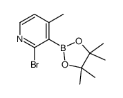 2-Bromo-4-methylpyridine-3-boronic acid pinacol ester structure