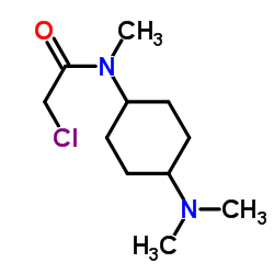 2-Chloro-N-[4-(dimethylamino)cyclohexyl]-N-methylacetamide Structure