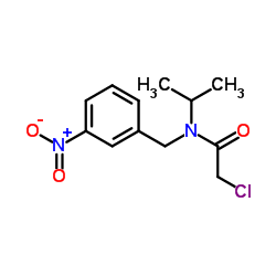 2-Chloro-N-isopropyl-N-(3-nitrobenzyl)acetamide Structure