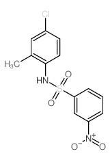 Benzenesulfonamide,N-(4-chloro-2-methylphenyl)-3-nitro- structure