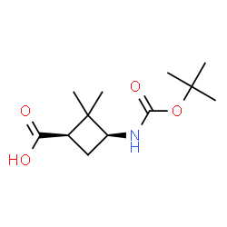 顺式-3-(Boc-氨基)-2,2-二甲基环丁烷羧酸图片