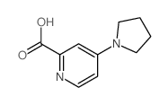 2-Pyridinecarboxylicacid, 4-(1-pyrrolidinyl)- Structure