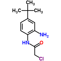 N-[2-Amino-4-(2-methyl-2-propanyl)phenyl]-2-chloroacetamide结构式