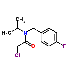 2-Chloro-N-(4-fluorobenzyl)-N-isopropylacetamide Structure