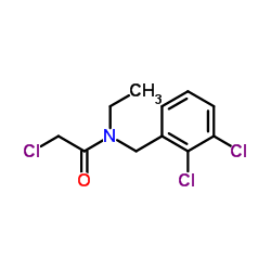 2-Chloro-N-(2,3-dichlorobenzyl)-N-ethylacetamide结构式