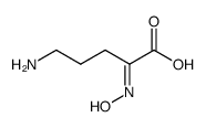 5-Amino-2-(hydroxyimino)pentansaeure Structure