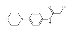 2-氯-N-(4-吗啉-4-苯基)-乙酰胺结构式