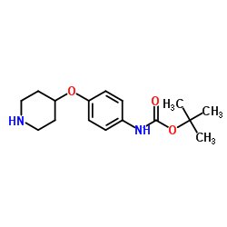 tert-Butyl (4-(piperidin-4-yloxy)phenyl)carbamate structure