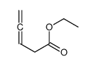ethyl penta-3,4-dienoate Structure
