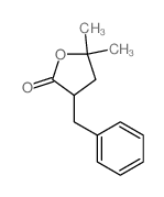 2(3H)-Furanone,dihydro-5,5-dimethyl-3-(phenylmethyl)- picture