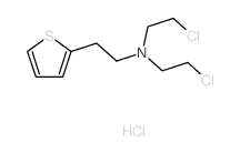 2-chloro-N-(2-chloroethyl)-N-(2-thiophen-2-ylethyl)ethanamine结构式