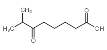 7-methyl-6-oxooctanoic acid Structure
