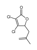 3,4-dichloro-2-(2-methylprop-2-enyl)-2H-furan-5-one Structure