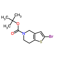 2-溴-6,7-二氢噻吩并[3,2-C]吡啶--5(4H)-甲酸叔丁酯图片
