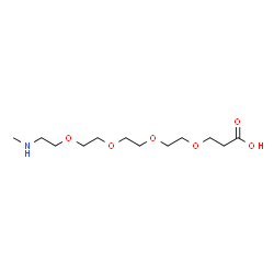 Methylamino-PEG4-acid HCl structure