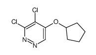 3,4-dichloro-5-cyclopentyloxypyridazine结构式