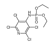 2,3,5,6-tetrachloro-N-diethoxyphosphorylpyridin-4-amine结构式