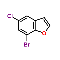 7-Bromo-5-chloro-1-benzofuran Structure