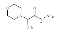 2-吗啉-4-基丙酰肼结构式