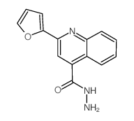 2-(2-Furyl)quinoline-4-carbohydrazide structure