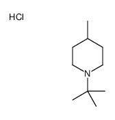 1-tert-butyl-4-methylpiperidine,hydrochloride结构式