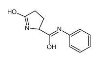 (2S)-5-oxo-N-phenylpyrrolidine-2-carboxamide Structure