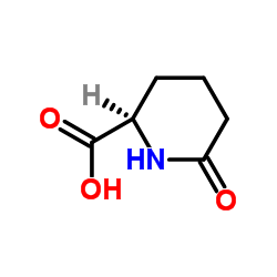 6-Oxo-2-piperidinecarboxylic acid Structure