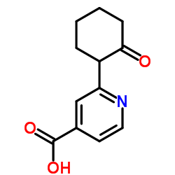 2-(2-OXO-CYCLOHEXYL)-ISONICOTINIC ACID Structure