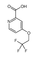 4-(2,2,2-TRIFLUORO-ETHOXY)-PYRIDINE-2-CARBOXYLIC ACID structure