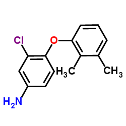 3-Chloro-4-(2,3-dimethylphenoxy)aniline结构式