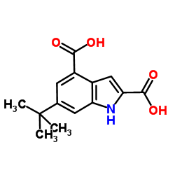 6-tert-butyl-1H-indole-2,4-dicarboxylic acid Structure