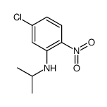 5-chloro-2-nitro-N-propan-2-ylaniline结构式