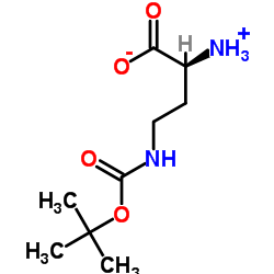 (S)-2-氨基-4-((叔丁氧基羰基)氨基)丁酸图片