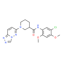 N-(5-chloro-2,4-dimethoxyphenyl)-1-([1,2,4]triazolo[4,3-b]pyridazin-6-yl)piperidine-3-carboxamide结构式