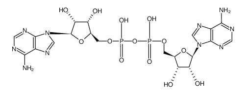 adenosine monophosphate-adenosine结构式