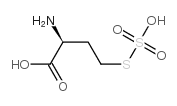 S-sulfohomocysteine结构式