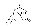 Pulchellon Structure