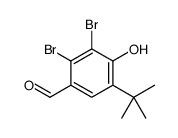2,3-dibromo-5-tert-butyl-4-hydroxybenzaldehyde结构式