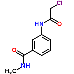 3-[(Chloroacetyl)amino]-N-methylbenzamide Structure
