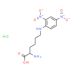 N-EPSILON-2,4-DNP-D-LYSINE HYDROCHLORIDE structure