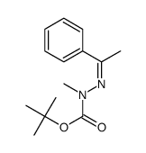 tert-butyl 1-methyl-2-(1-phenylethylidene)hydrazine-1-carboxylate Structure