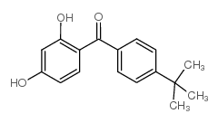 (4-tert-butylphenyl)-(2,4-dihydroxyphenyl)methanone Structure
