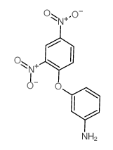 Benzenamine,3-(2,4-dinitrophenoxy)- Structure