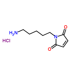 N-(5-氨基戊基)马来酰亚胺盐酸盐图片