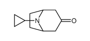 8-cyclopropyl-8-azabicyclo-[3.2.1]-octan-3-one Structure