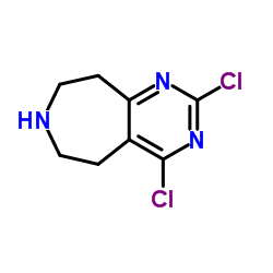 2,4-Dichloro-6,7,8,9-tetrahydro-5H-pyrimido[5,4-d]azepine picture