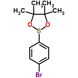 2-(4-Bromophenyl)-4,4,5,5-tetramethyl-1,3,2-dioxaborolane picture