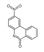 2-nitro-6-oxidobenzo[c]cinnolin-6-ium Structure